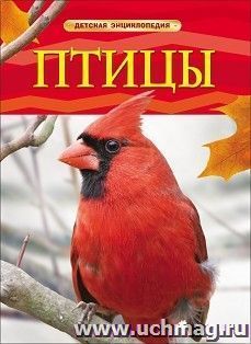 Птицы. Детская энциклопедия — интернет-магазин УчМаг