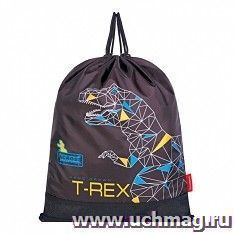 Мешок для обуви "T-REX" — интернет-магазин УчМаг